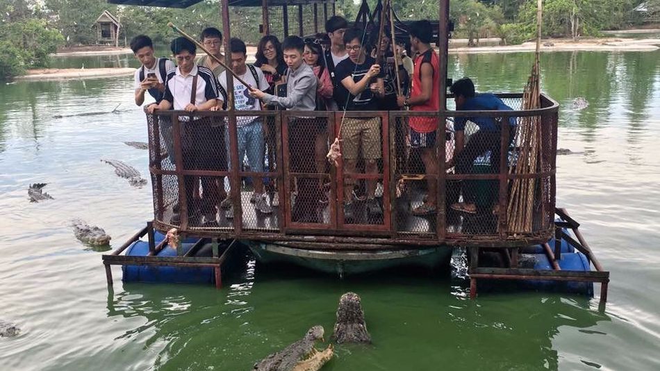 مزرعه تمساح ها در تایلند